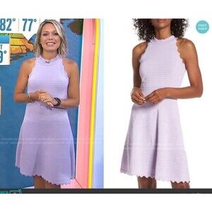 Eliza J Lavender Purple Scalloped Ribbed Knit Sleeveless Fit & Flare Dress S 214